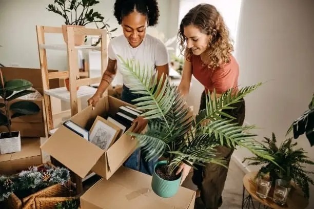 moving1.jpg