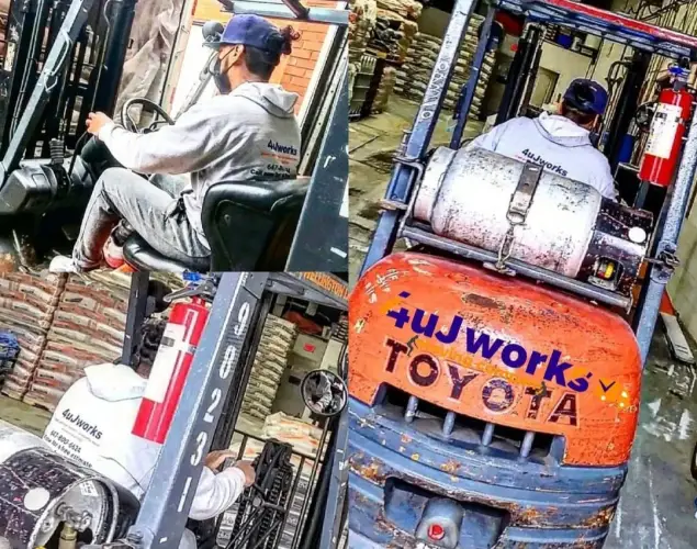pickering movers.jpeg