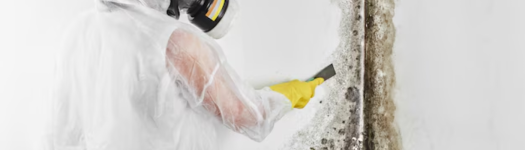ASK Environmental business