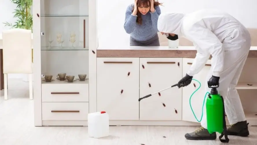 PestiSeed -Pest -Control.jpg