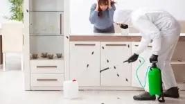 Pestiseed Pest Control - Toronto business