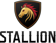 Stallion Auto Lab business