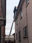 Guard More Pest Control - Toronto business