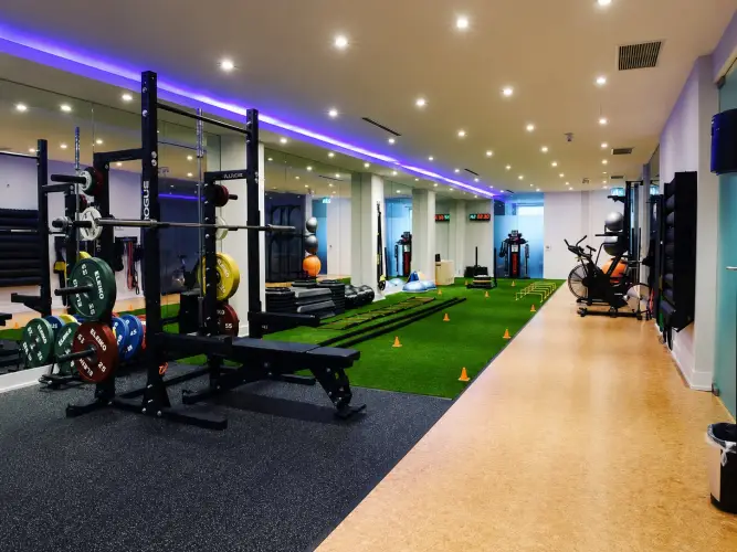 Sports Rehabilitation and Performance Training Area in Toronto.jpg