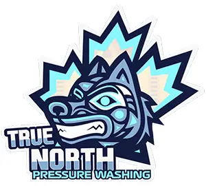 True-North-Logo-resized.jpg