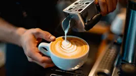 Daily Grind Coffee Ltd - Winnipeg business