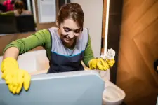 The Professionals Window & Eaves Cleaning - Toronto business