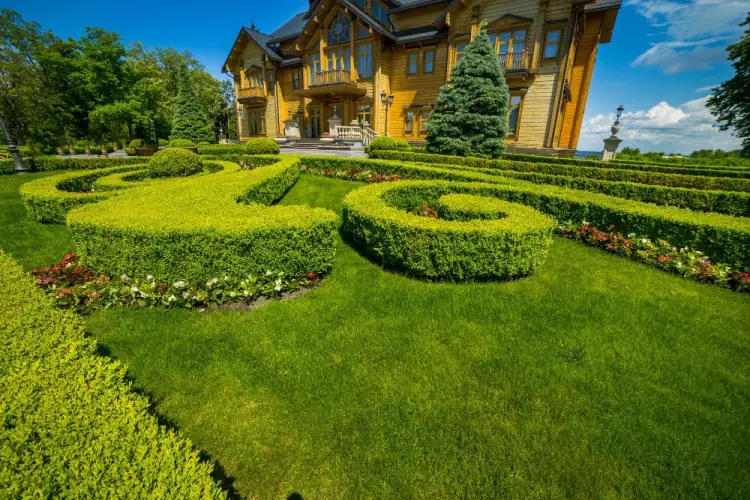 elegant-hedge-design-landscaped-mansion-yard.jpg