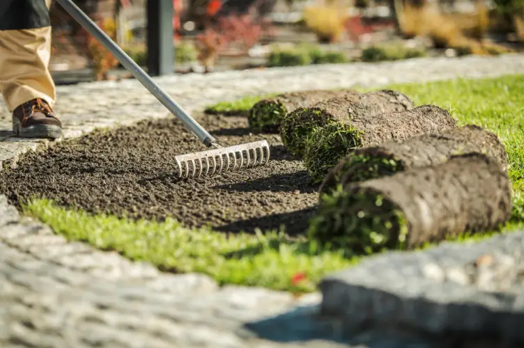 fresh-soil-preparation-for-new-grass-installation.jpg