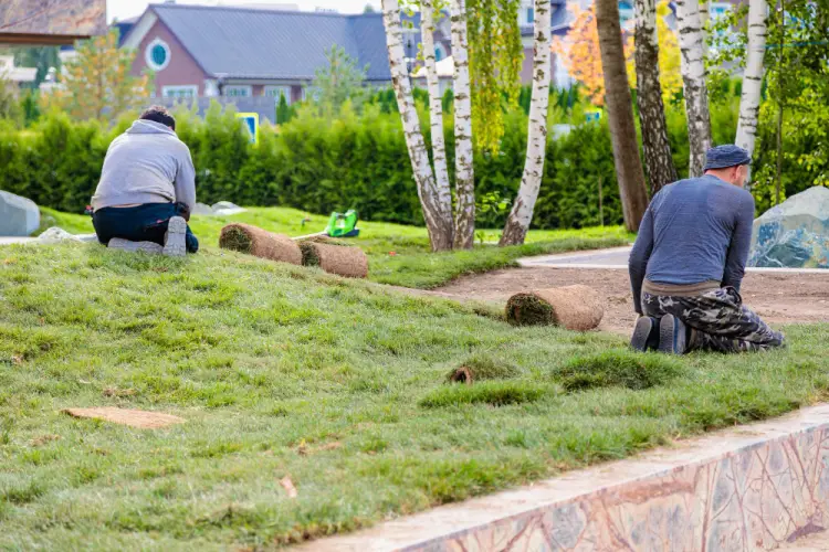 workers-installing-sod-in-residential-yard.jpg