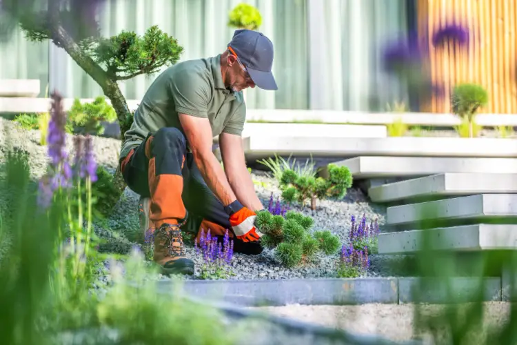 gardener-working-on-modern-gravel-landscape.jpg