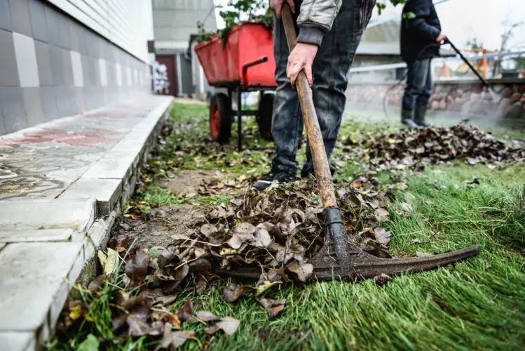 fall-cleanup-workers-clearing-leaves-yard.jpg