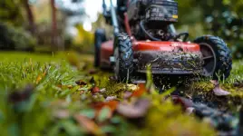 Turf Clean - Vancouver business