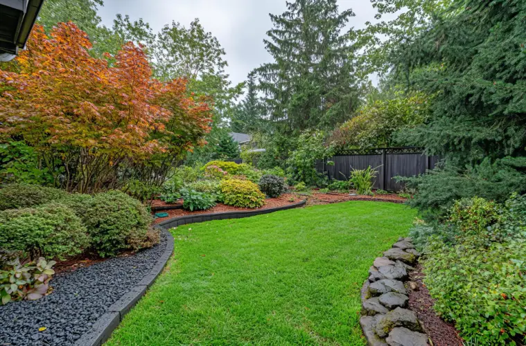 lush-garden-with-mulch-and-varied-shrubs.jpg