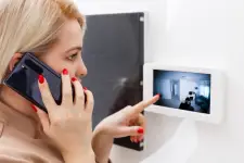 Smart Secure Technologies business