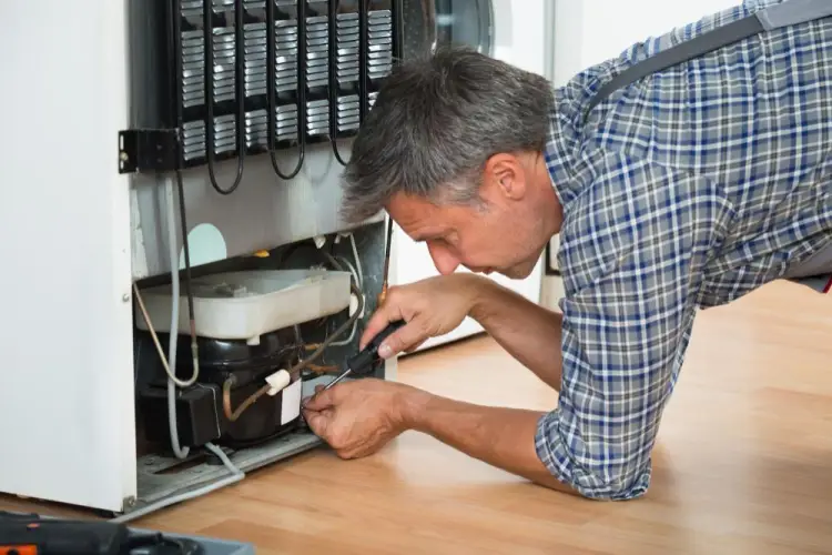 senior-technician-refrigerator-wiring.jpg