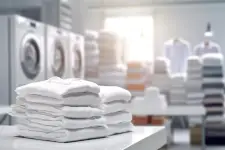 Pacific Laundry Service business