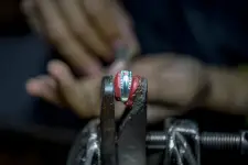 The Ring Company business