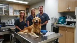 Westwood Veterinary Hospital business