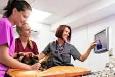 Seven Oaks Veterinary Hospital - Winnipeg business