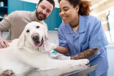Seasons Veterinary Clinic - Winnipeg business