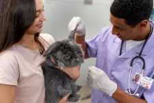 Southglen Veterinary Hospital - Winnipeg business