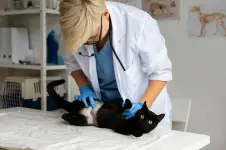 Prairie Ly Mobile Veterinary Care - Winnipeg business