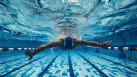 Lil Bettas Swim School - Calgary business