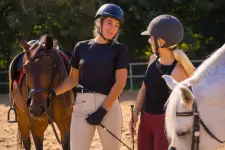Ten Equestrian - Edmonton business