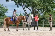 The Forward Horse business