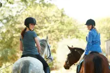Dreams Horse Farm - Edmonton business