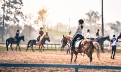 Solaris Equestrian - Edmonton business