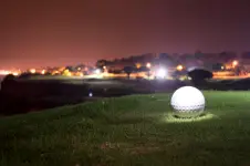 4th Line Virtual Golf - Winnipeg business
