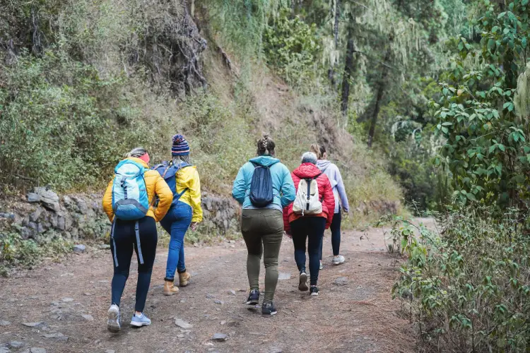 group-of-women-hiking-on-forest-trail.jpg
