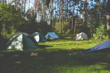 Mountain View Farm Camping Ltd business