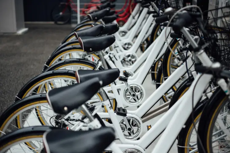 white-rental-bikes-organized-row.jpg