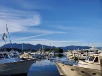 Lazy Day Raft Rentals - Calgary business
