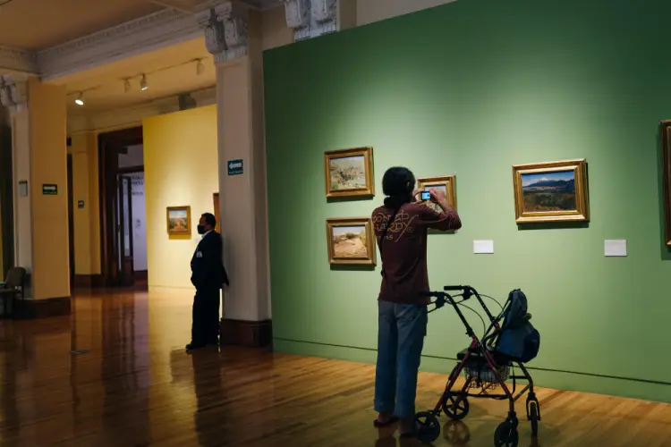visitor-photographing-landscape-paintings.jpg