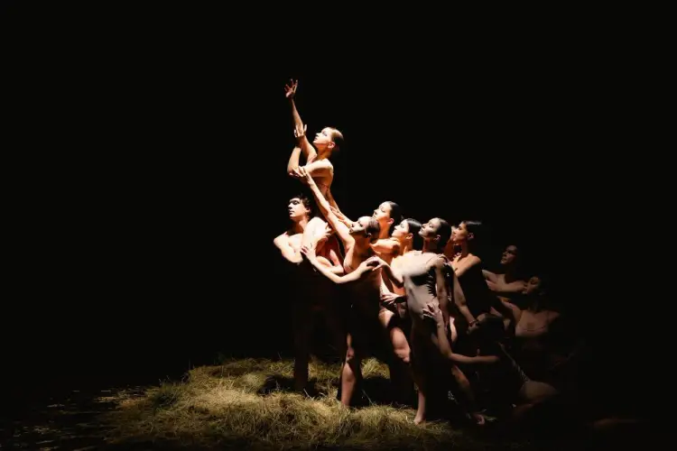 modern-dance-group-performance-on-dark-stage.jpg