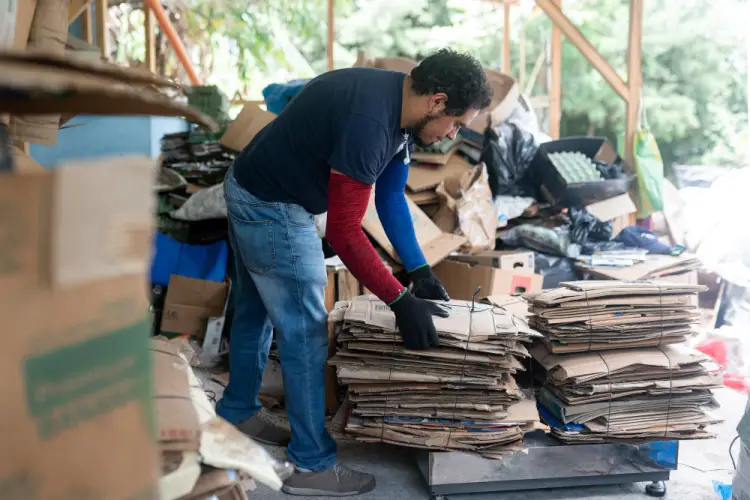 recycling-worker-sorting-cardboard.jpg