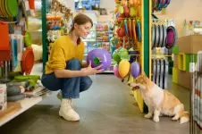 The Great Canadian Dog Cakes business