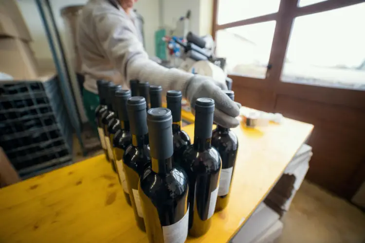 winery-worker-inspecting-wine-bottles.jpg
