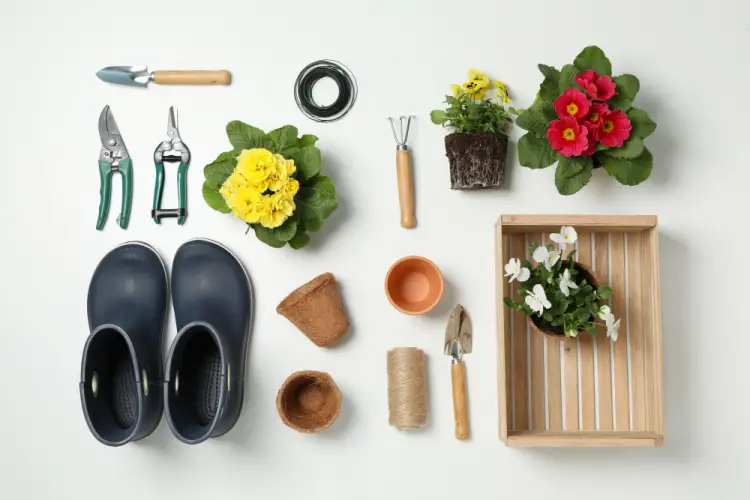 spring-gardening-supplies-and-plants.jpg