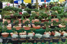 Apache Seeds Limited - Edmonton business