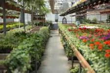Apache Seeds Limited - Edmonton business
