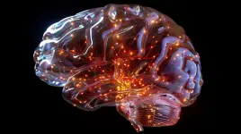Greymatter Neuropsychology Group - Edmonton business