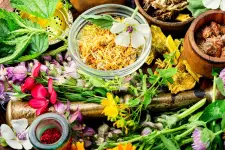 Holistic Ayurveda Edmonton - Edmonton business