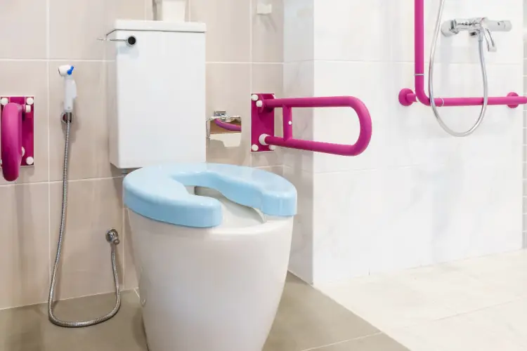 accessible-toilet-seat-and-grab-bars.jpg