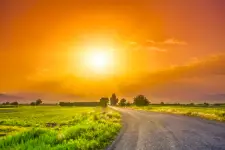My Online Recovery business