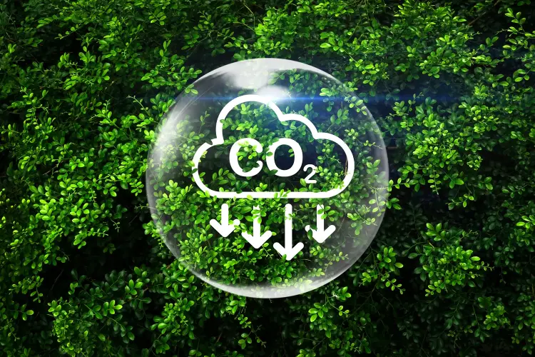 CO2-EM~1.JPG